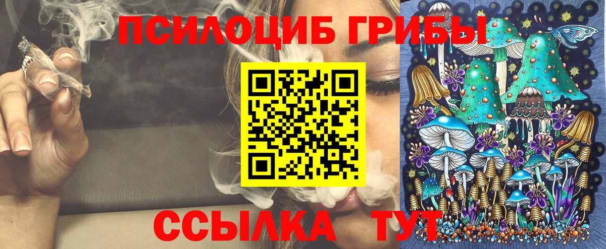 Галлюциногенные грибы прущие грибы Воронеж